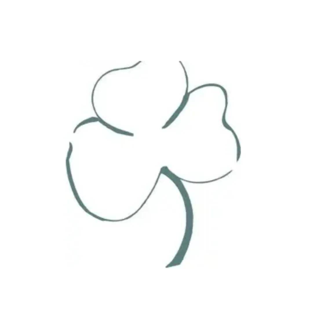 资讯 ｜ 三叶草数据合规服务再添新绩！团队孙森律师双证落地丨团队动态
