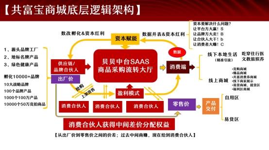 警惕！共富宝“肖费养老”，这 3 类人可能血本无归！