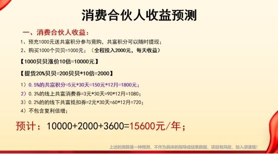 警惕！共富宝“肖费养老”，这 3 类人可能血本无归！